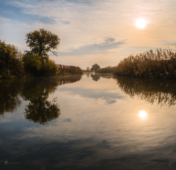 Autumn in the reserve / ***