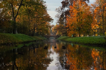 Morning in October / ***