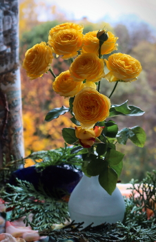 on autumn background / ***