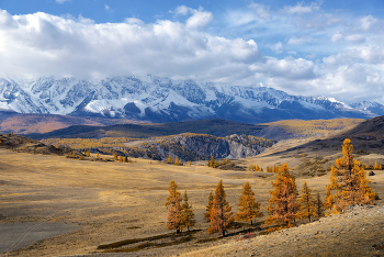 Altai Mountains / ***