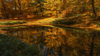 golden time / ***