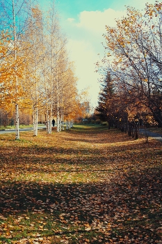 Golden Autumn / ***