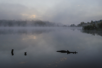 Peace and quiet / ***