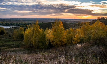 Autumn morning. / ***