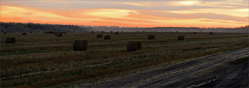 Autumn Field / ***