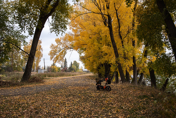Autumn walk / ***