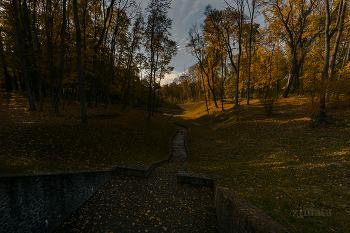 Autumn picture / ***