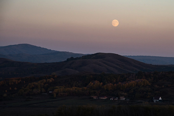 Full moon / ***