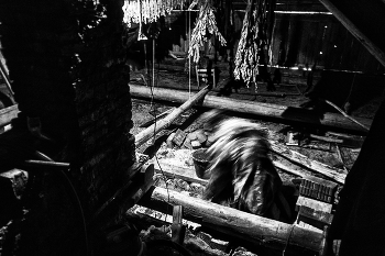 Life around / ***