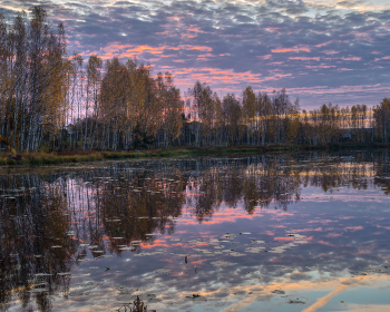 Before the sunset / ***