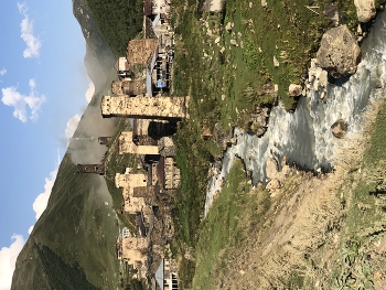 &nbsp; / ***
