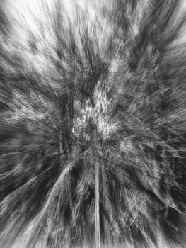 Life around / ***