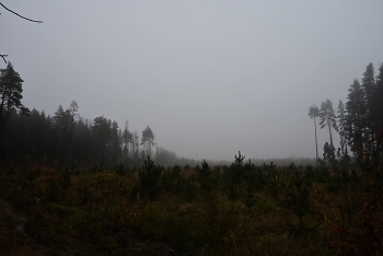 Moscow region / ***