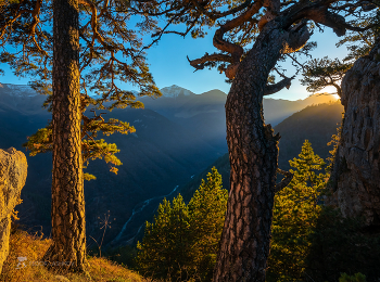 Mountain Air / ***