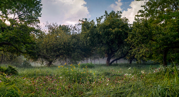 Summer Garden / ***