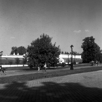 Tsaritsyno / ***