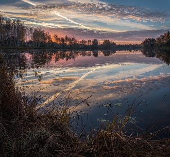 Colors of dawn / ***