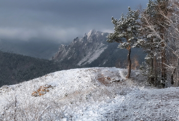 The first snow / ***