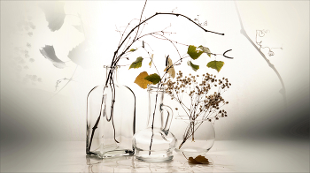 autumn / ***