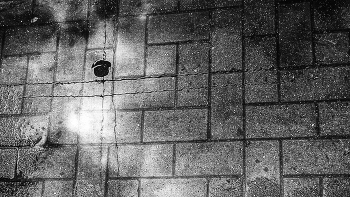 Life around / ***