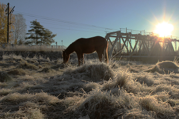 The first frosts / ***
