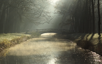 Morning in October / ***
