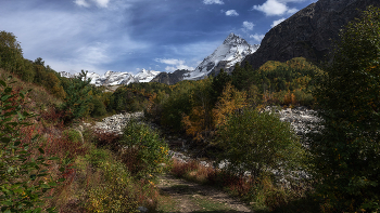 Autumn / ***