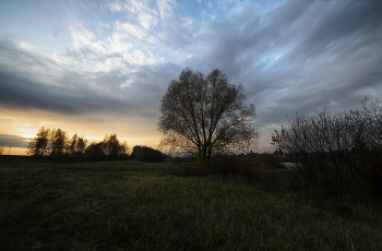 Autumn evening / ***