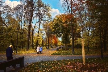 in the park / ***