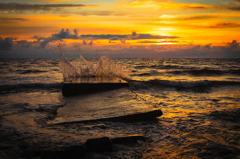 Dark Water / ***