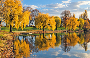 Autumn Gold / ***