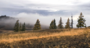 autumn mist / ***