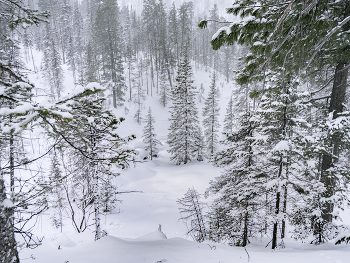 Snow / ***