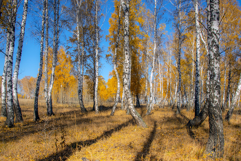 Warm October / ***