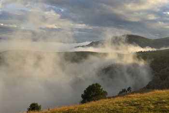 Evening fog / ***