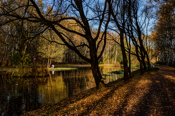 Autumn mood. / ***