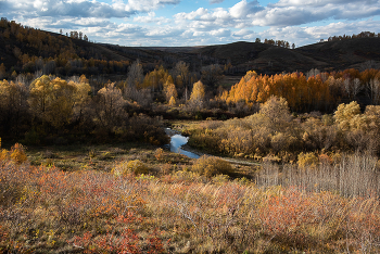 colors of autumn / ***