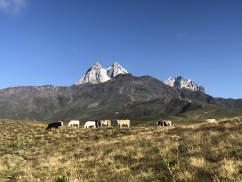 Svaneti / ***