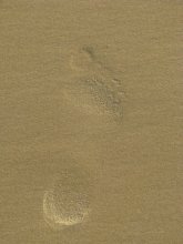 Footprints in the Sand / ***