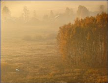 Autumn light / *****