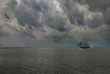 at sea / ***