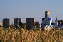 Co-existence / *******