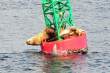 Place in the Sun / ***