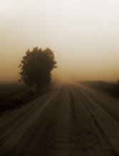 Morning road / .......