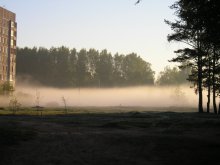 Pride of the morning / ***