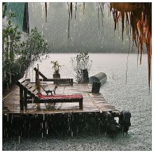 The mood of a tropical rain .. / ***
