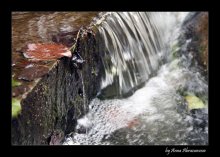 in anticipation of the fall / *****