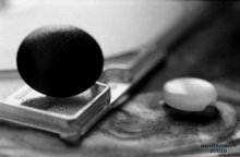 mind`s day / to COIL