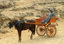 Bedouin / ***