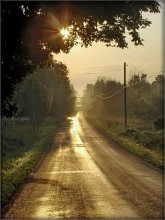 on the morning country road / ***